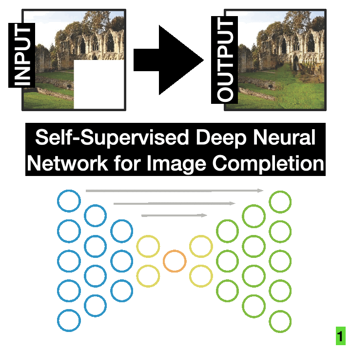 Comparing cortical feedback (fMRI) to Self-Supervised DNNs